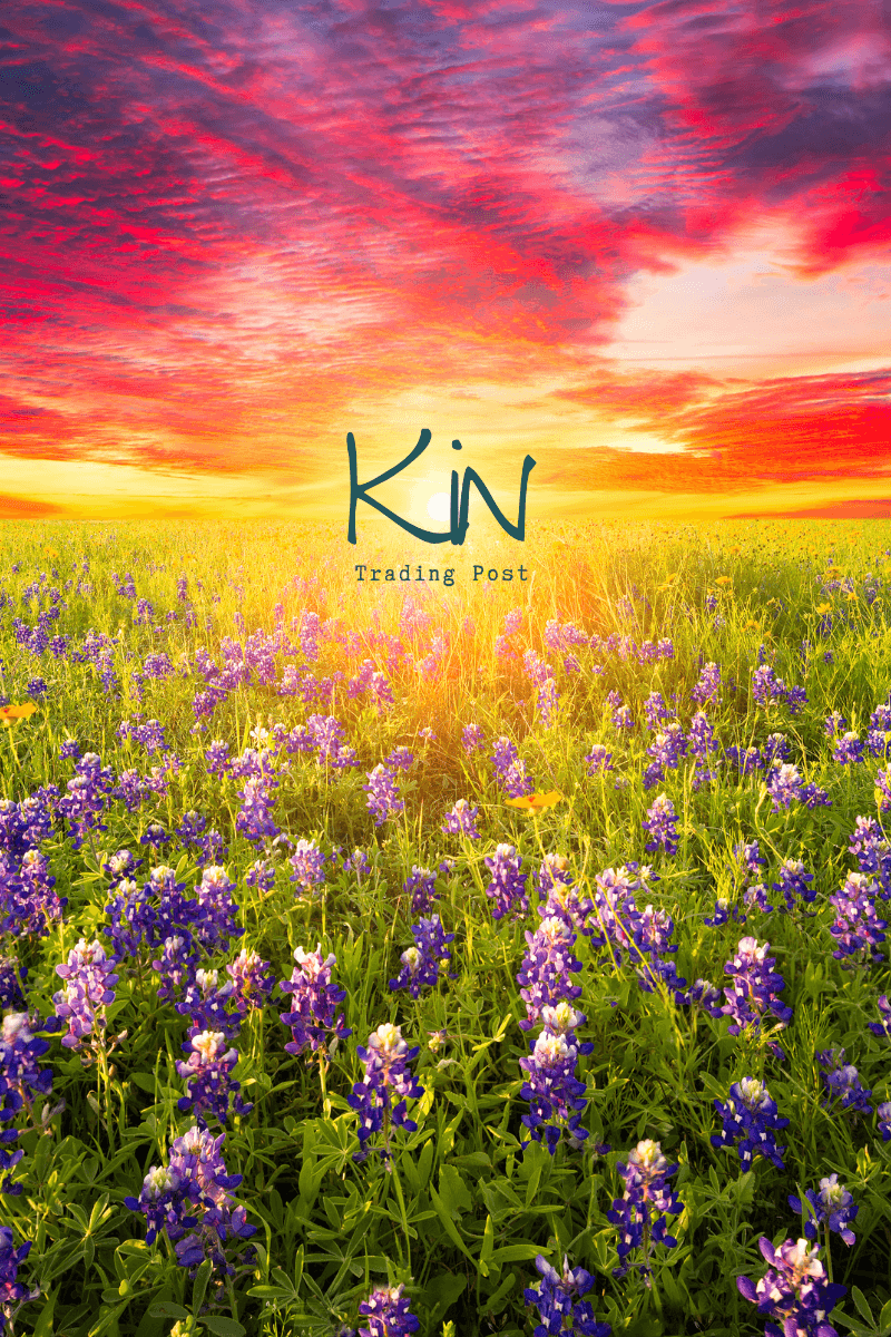 Let's Talk Color - Kin Trading Post