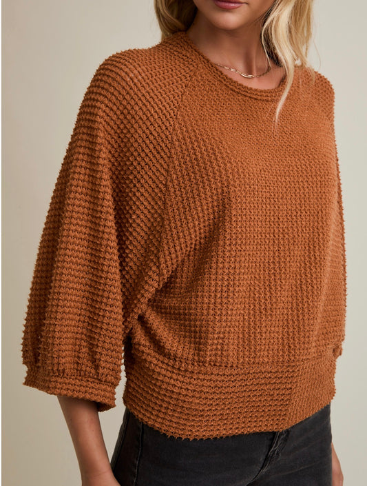 Camel Knit Raglan Long Sleeve Top